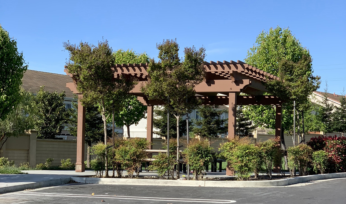 Garden pergola with bushes and trees
