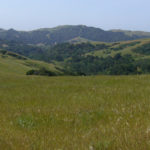Open land in the California Hills